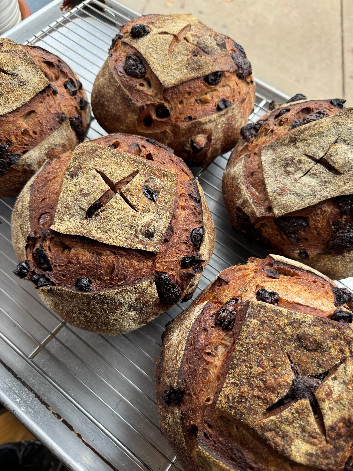 CHOCOLATE CHERRY SOURDOUGH