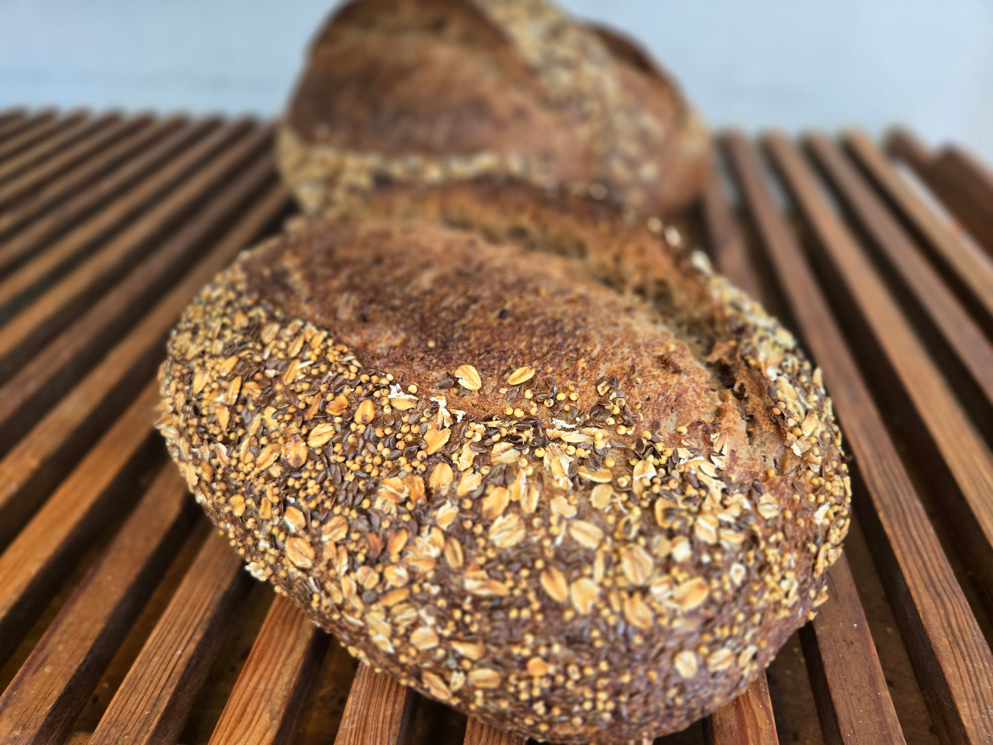 MULTIGRAIN WHOLE WHEAT