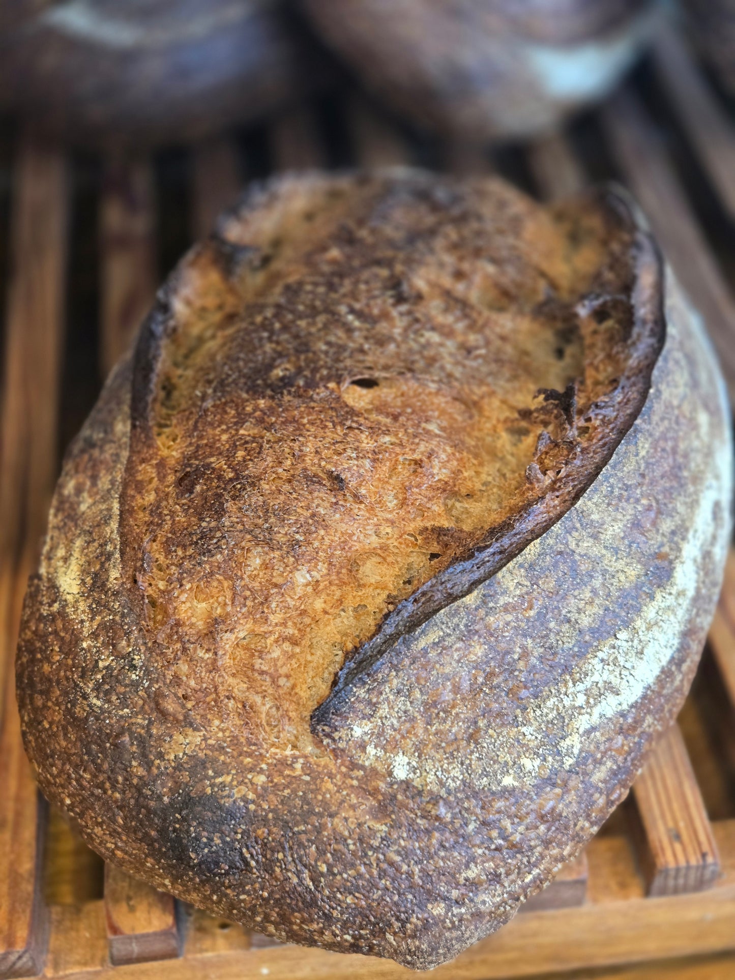 WHOLE WHEAT SOURDOUGH