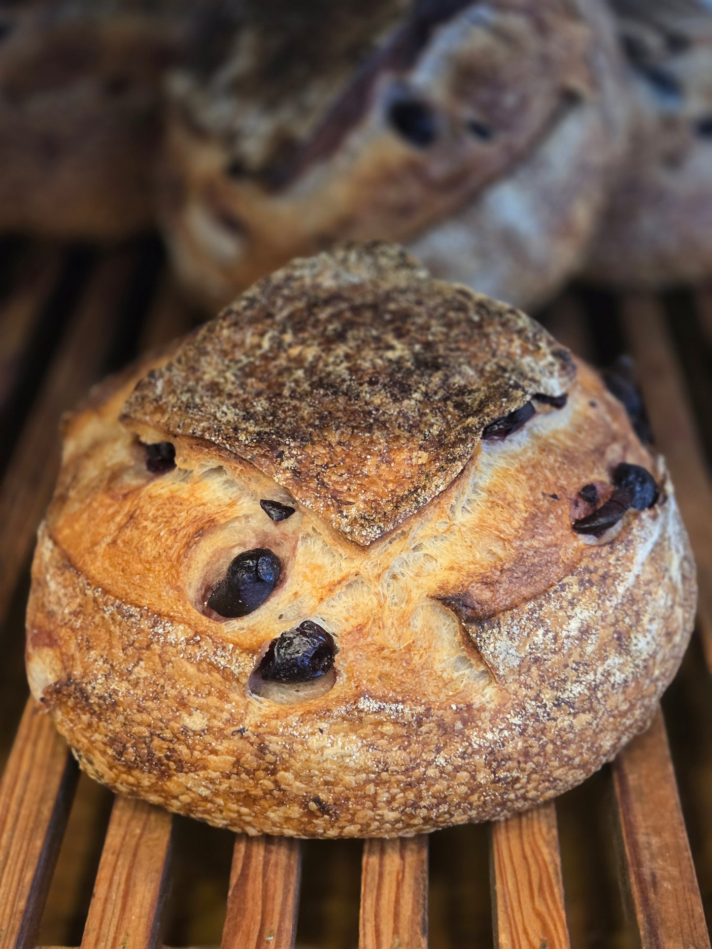 KALAMATA OLIVE SOURDOUGH