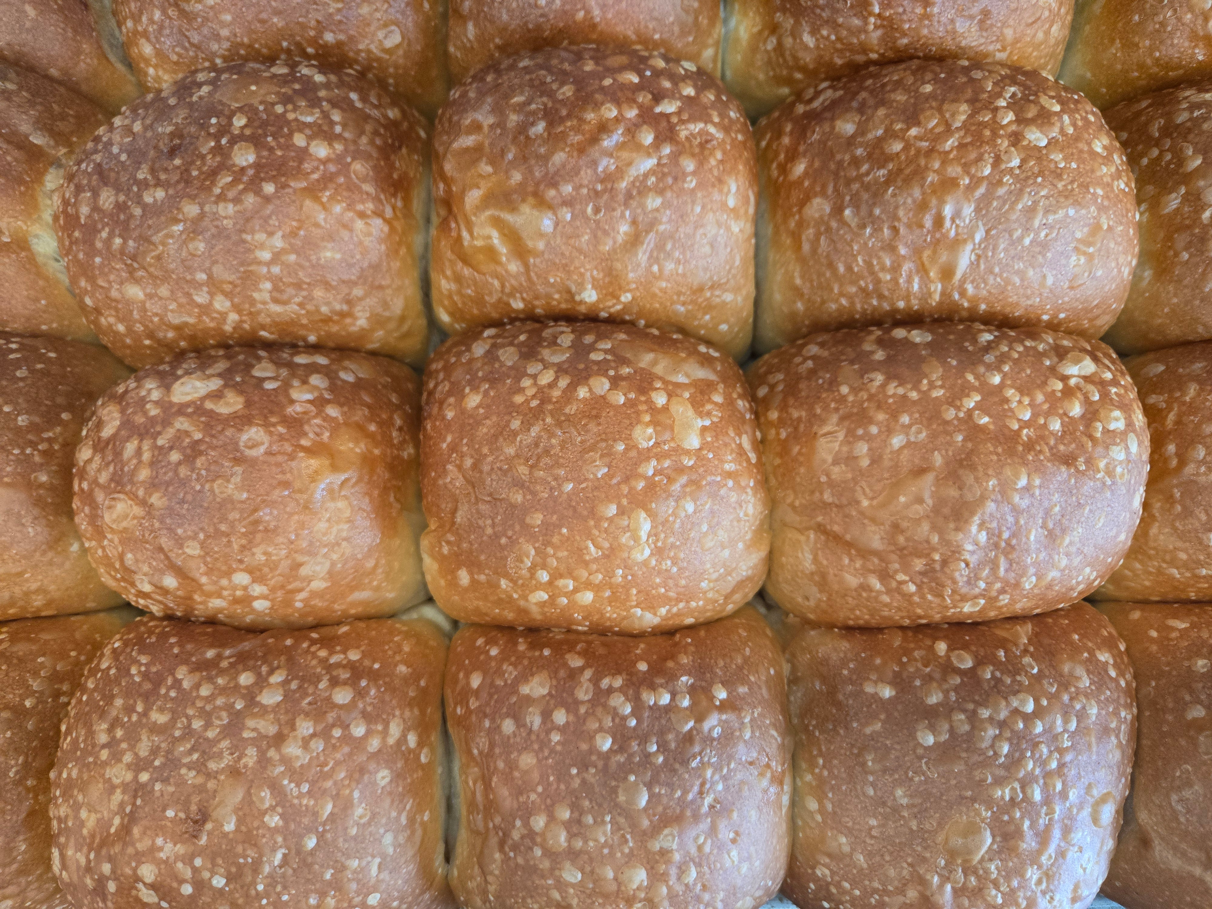 DINNER ROLLS