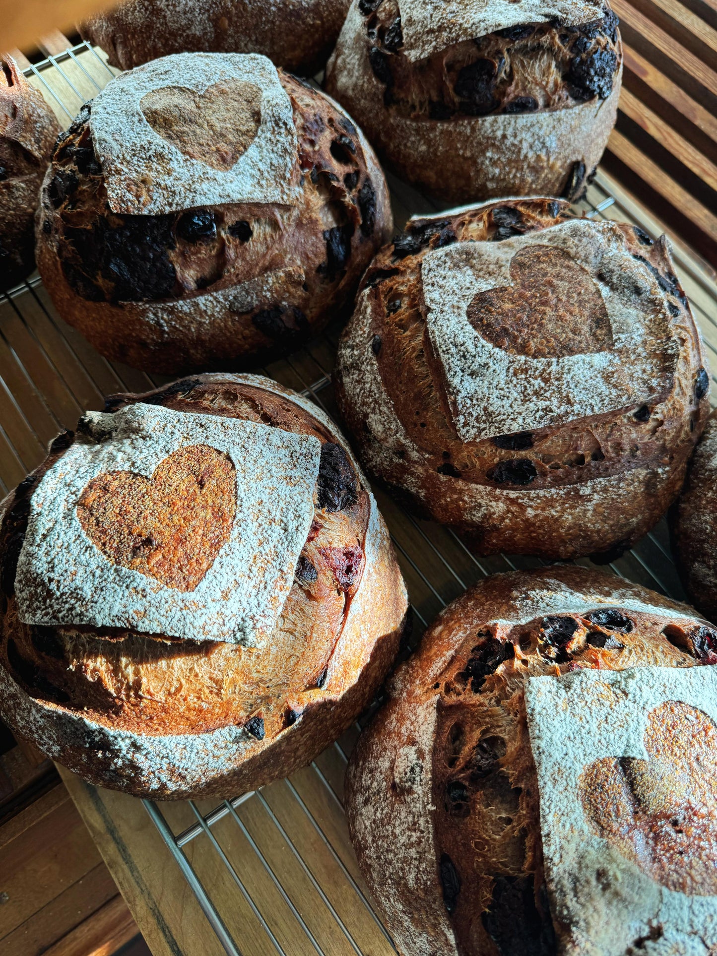 CHOCOLATE CHERRY SOURDOUGH