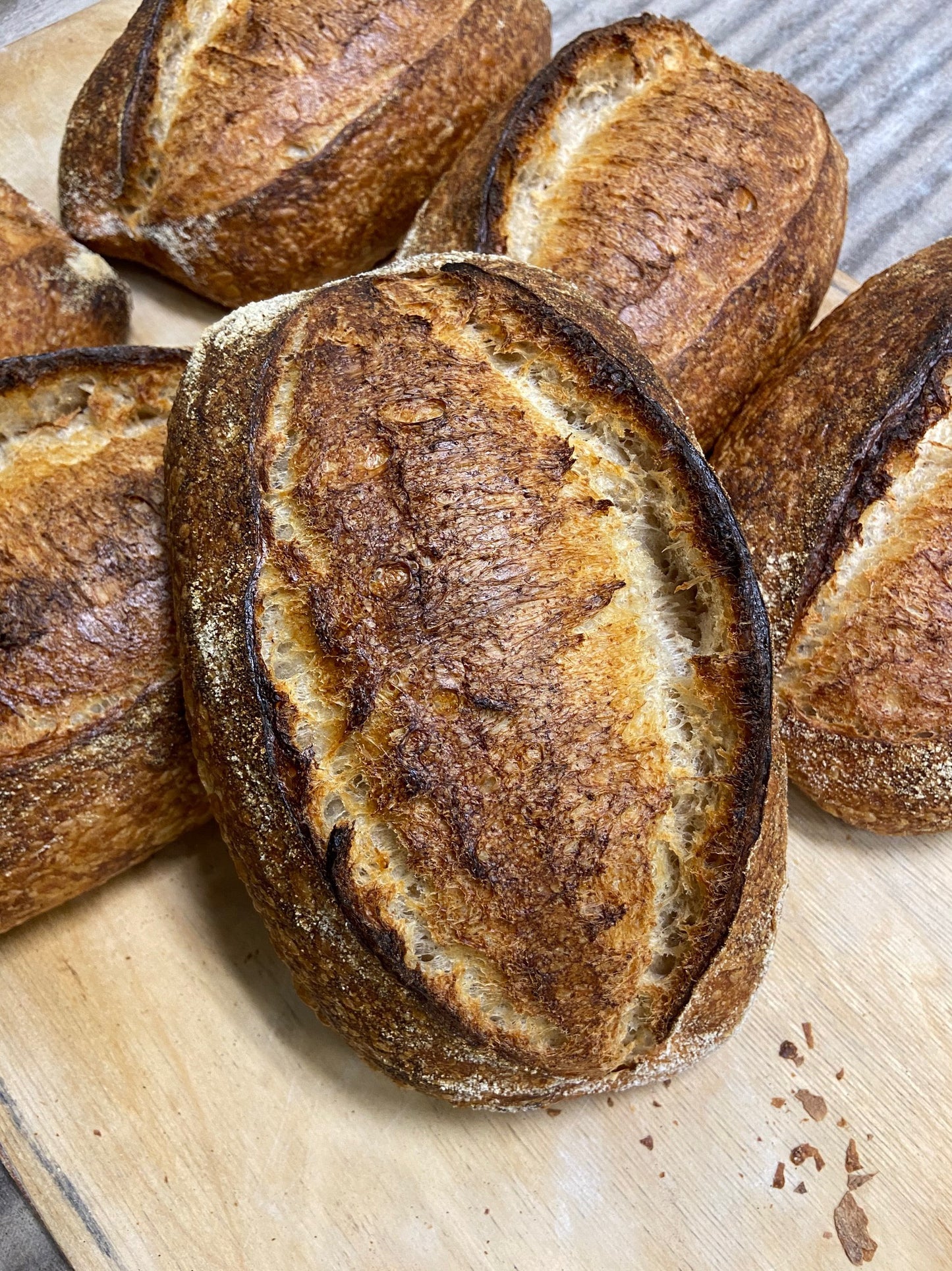 SOURDOUGH