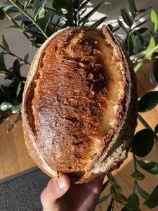 SOURDOUGH