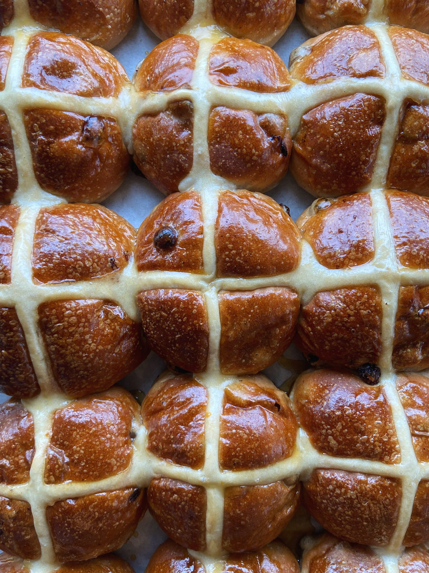 6 Pack Hot Cross Buns (Choc Espresso)